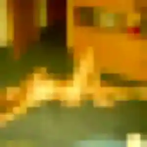 Emna (26 ans) à Montauroux propose une rencontre ce soir