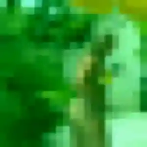 plan cul à Montbert : profil de Safiya, 19 ans - accès libre