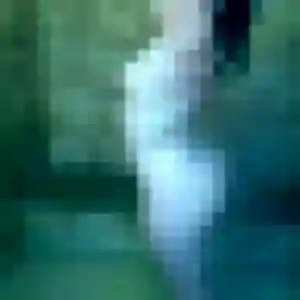 Sexy Manel, 25 ans à Montbrun-Lauragais - découvrir son profil