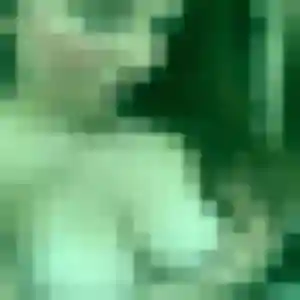 Profil de Solene à Montfort-sur-Risle (22 ans) - plan cul anonyme