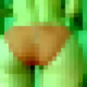 Photo perso de Lison, 20 ans à Montigny-le-Chartif - plan discret