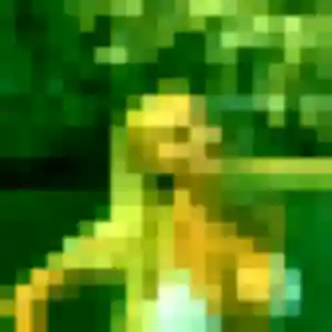 Belle Alix, 25 ans à Montilly-sur-Noireau - la contacter