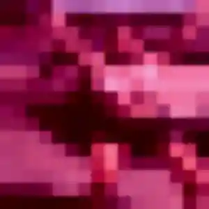 Rencontre Armelle, 23 ans à Montlignon en t'inscrivant