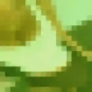 Photo sexy de Assia, 28 ans à Montmain - rencontre coquine