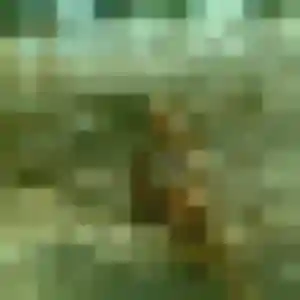 plan cul à Montmain : photo de Djenna, 23 ans - sans engagement