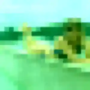 Djenna, 37 ans, veut un plan cul à Montmain