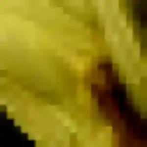 Lyana, 35 ans, veut un plan cul à Montmorency