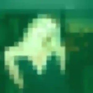 Victoire (30 ans) à Montrichard Val de Cher cherche un plan cul maintenant