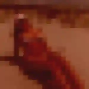 Belle Salome, 27 ans à Monts-sur-Orne - la contacter