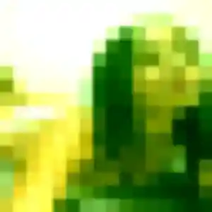 Emna, 39 ans, disponible à Montsûrs pour une rencontre coquine