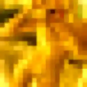 Photo sexy de Safiya, 20 ans à Montsûrs - rencontre coquine