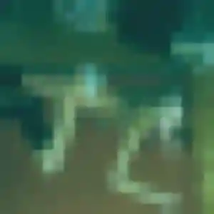 Nour (27 ans) à Morainvilliers cherche une rencontre aujourd'hui