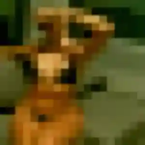 Photo de Thais à Moyenneville (25 ans) - plan cul anonyme