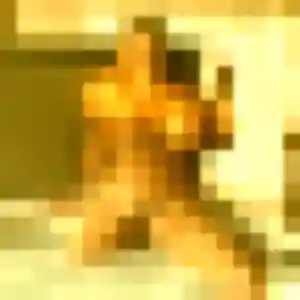 Tessa (22 ans) à Moyvillers cherche une rencontre maintenant