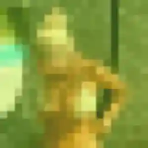 Lina, 26 ans, disponible à Mulsanne pour une rencontre coquine