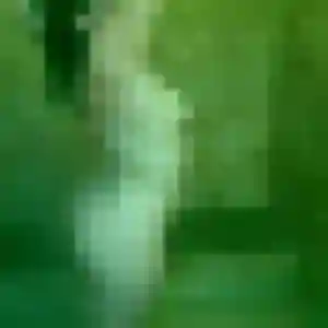 Photo exclusive de Manel, 35 ans à Muzy - rencontre sans lendemain