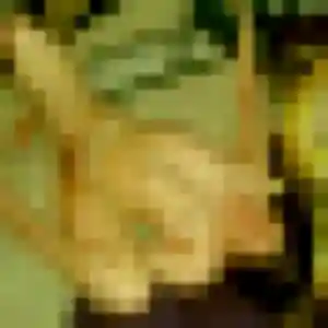 Photo exclusive de Romane, 37 ans à Nanteuil-en-Vallée - rencontre sans lendemain