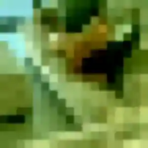 Doriane de Naours, 35 ans - plan cul sans lendemain