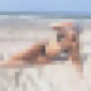 Sexy Zelie, 32 ans à Navour-sur-Grosne - découvrir son profil