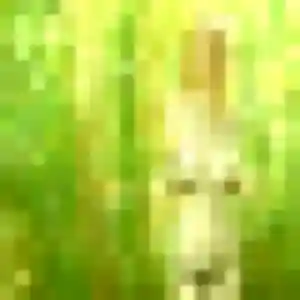 Photo de Candice à Neau (32 ans) - plan cul gratuit