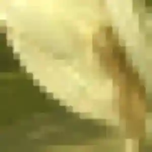 Justine de Neau, 32 ans - plan cul en toute liberté