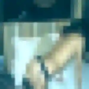 Photo de Alya à Nesles-la-Vallée (23 ans) - plan cul discret