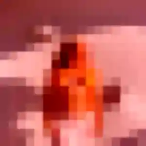 Honorine, femme de 35 ans cherche plan cul à Neuf-Mesnil