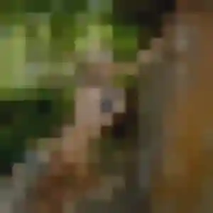 Olivia (21 ans) à Neufchâtel-en-Bray cherche une rencontre aujourd'hui