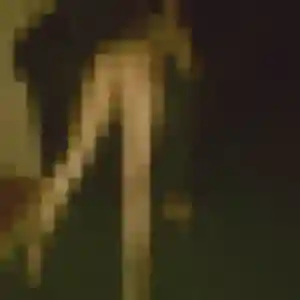 Photo exclusive de Colombe, 26 ans à Neuville-sur-Brenne - rencontre sans lendemain
