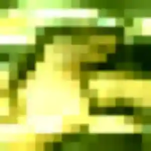 Feriel, 28 ans, cherche un plan cul à Nielles-lès-Bléquin