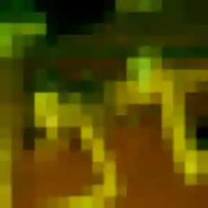 Rencontre Nael, 36 ans à Nielles-lès-Bléquin gratuitement