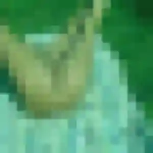 Lilou, 39 ans, disponible à Nœux-les-Mines pour un plan cul