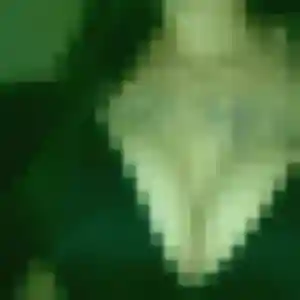 Nour de Nogent-sur-Oise, 25 ans - plan cul discret