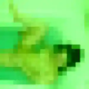 Photo de Albane à Nordausques (19 ans) - plan cul anonyme