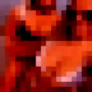 Photo exclusive de Nael, 34 ans à Notre-Dame-d'Aliermont - plan discret