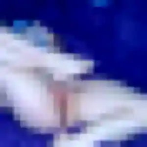 Flore de Noyen-sur-Sarthe, 30 ans - plan cul discret