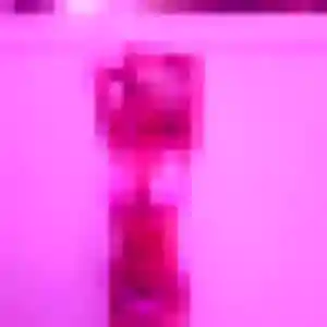 Belle Mila, 25 ans à Noyers-Saint-Martin - la contacter