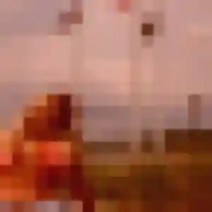 Photo de Margot à Oisseau (36 ans) - plan cul discret