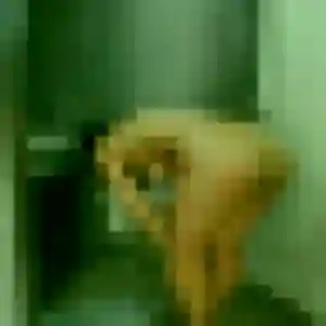 Photo sexy de Apolline, 24 ans à Ollioules - rencontre sans lendemain