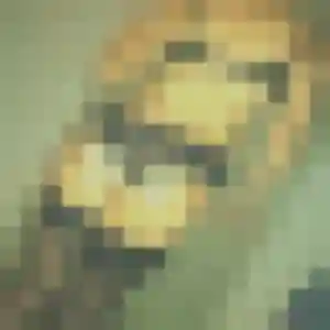 Photo de Constance à Opio (33 ans) - plan cul anonyme