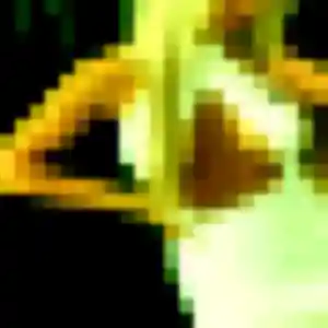 Maya, fille de 20 ans cherche plan cul à Orcemont