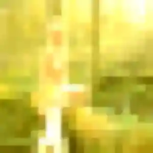 plan cul à Orléans : profil de Zara, 20 ans - accès libre