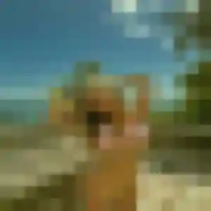 Photo de Malika à Otterswiller (36 ans) - plan cul gratuit