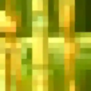 Hana, 39 ans, veut un plan cul à Oucques La Nouvelle