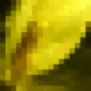 Contacte Lyana, 38 ans à Pacé en t'inscrivant