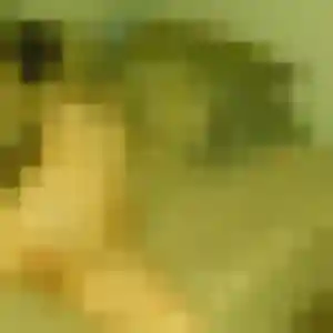 Découvre Ninon, 32 ans à Palluau-sur-Indre en privé