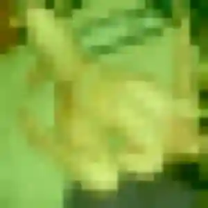 Sexy Faustine, 36 ans à Panossas - la contacter