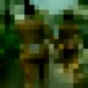 Rencontre Clarisse, 35 ans à Parigné-sur-Braye gratuitement