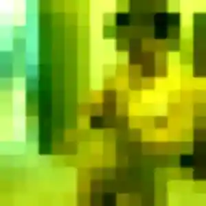 Syrine, 29 ans, disponible à Parigné pour un plan cul