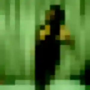 Découvre Leana, 33 ans à Passais Villages gratuitement